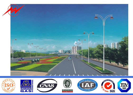 10m βραχιόνων κήπων ενιαίος Q235 λαμπτήρας οδών Πολωνός με Galvanization καυτής εμβύθισης